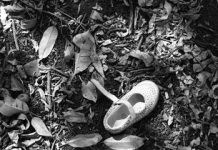 Autoridades ínvestigan finca de cacao por posible hallazgo vinculado a la niña Brianna Genao