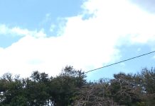 Inicio del Operativo Semana Santa 2026 desde el Puente San Carlos