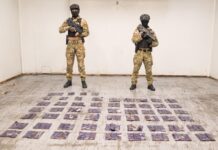 DNCD OCUPA 172 LÁMINAS DE PRESUNTA COCAÍNA CAMUFLADAS EN CAJAS DE CARTÓN